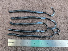 Load image into Gallery viewer, Killer 6" Black Ring Worms