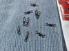 Swivels, 10pk