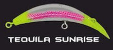 Load image into Gallery viewer, Killer Custom Salmon Plugs